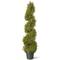 4ft. Juniper Slim Spiral Topiary with Green Pot